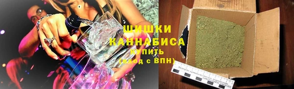 сатива Белокуриха
