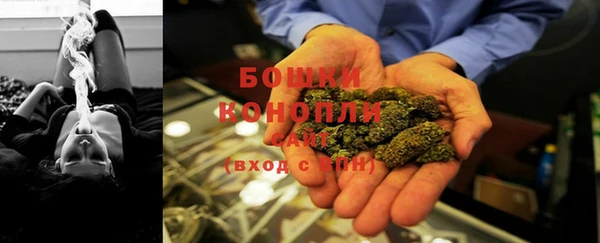 сатива Белокуриха