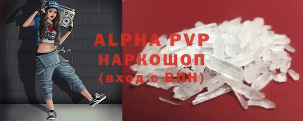 сатива Белокуриха