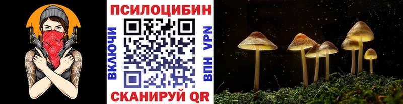 Галлюциногенные грибы Psilocybe  Высоцк 